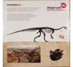 Lego Certified Professional Plateosaurus BEN Anniversary set rare limited