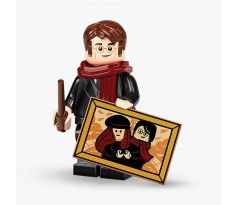James Potter - LEGO Minifigurka 71028 Harry Potter - 2. série