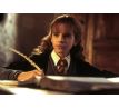 LEGO (76382) Hermione Granger, Gryffindor Sweater with Crest, Black Short Legs  - Harry Potter